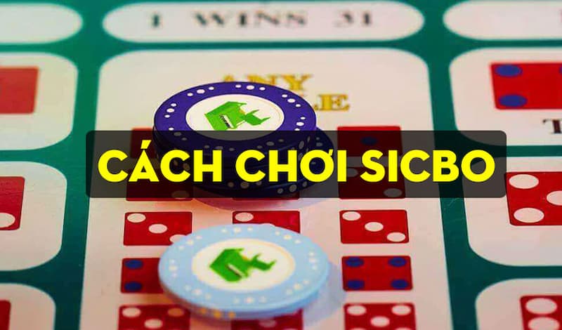                                                         Cách thức đặt cược sicbo